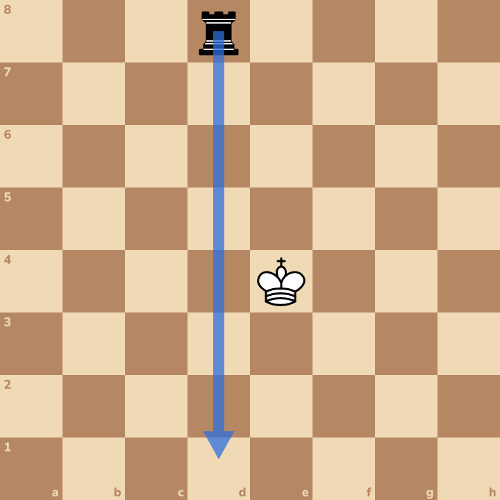 The king must never step where an enemy piece could catch him.